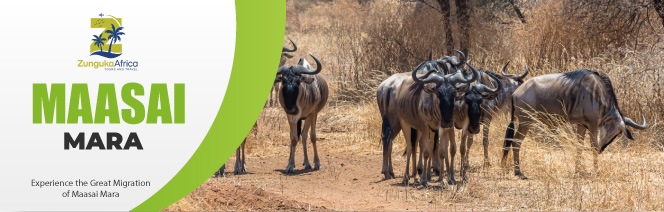 5 Popular Maasai Mara Hotels