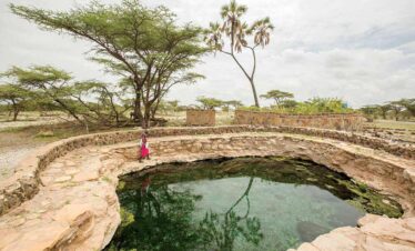 Buffalo Springs