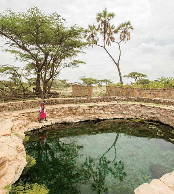 Buffalo Springs