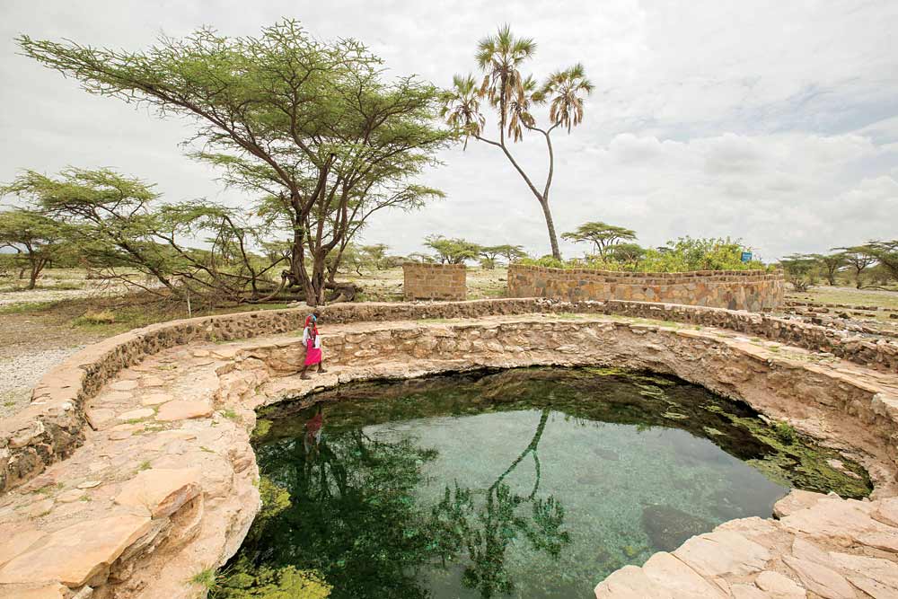 Buffalo Springs