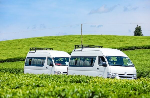 Zunguka Cars (3)