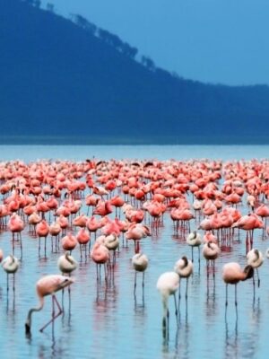 10 Unique Places to Visit in Kenya