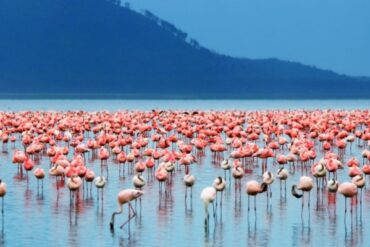 10 Unique Places to Visit in Kenya