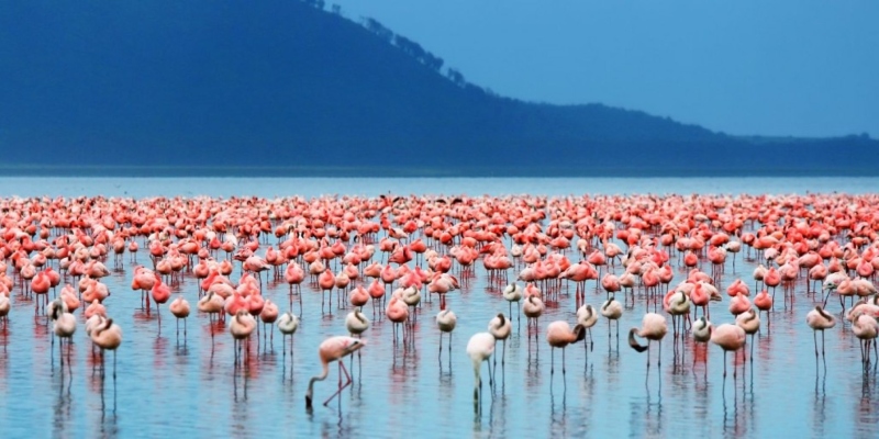 10 Unique Places to Visit in Kenya
