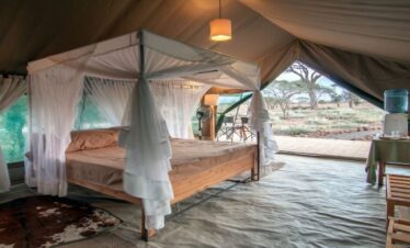 3 Days | Amboseli Packages | Kibo Safari Camp |