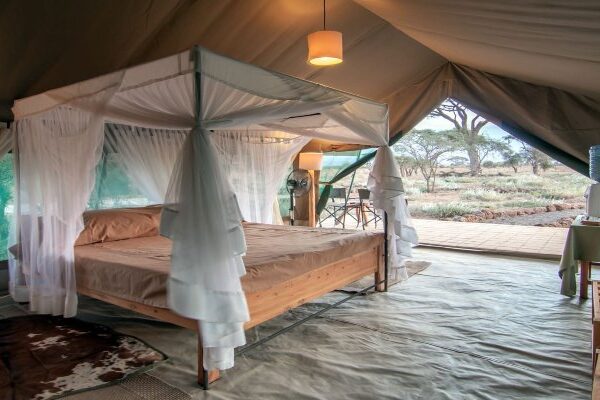 3 Days | Amboseli Packages | Kibo Safari Camp |