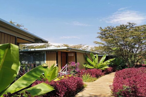 jambo mara safari lodge