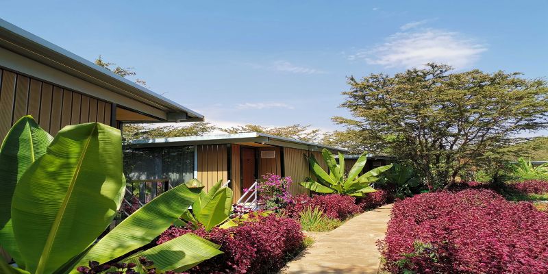jambo mara safari lodge