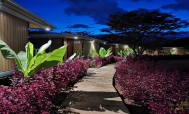 jambo mara safari lodge