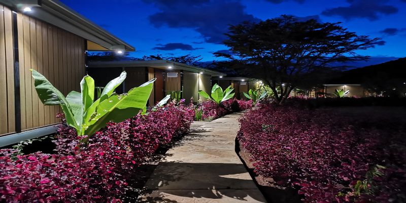 jambo mara safari lodge