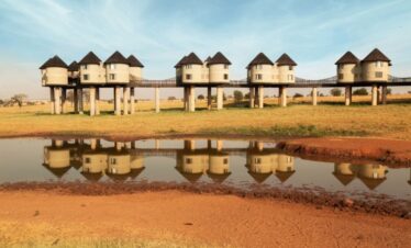 salt lick safari