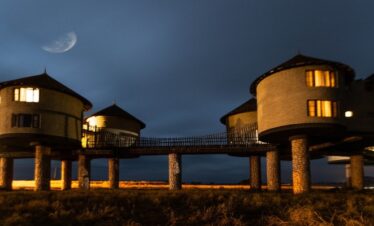 salt lick safari
