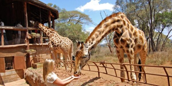 10 Fun Activities to do in Nairobi