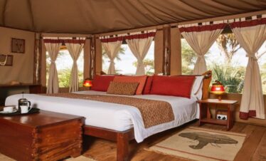 Elephant Bedroom Camp