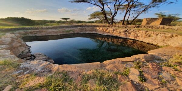 Buffalo Springs National Reserve