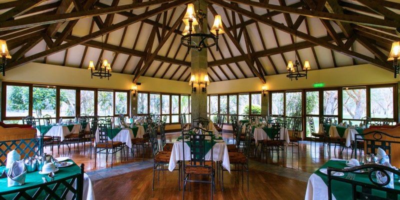 simba lodge naivasha