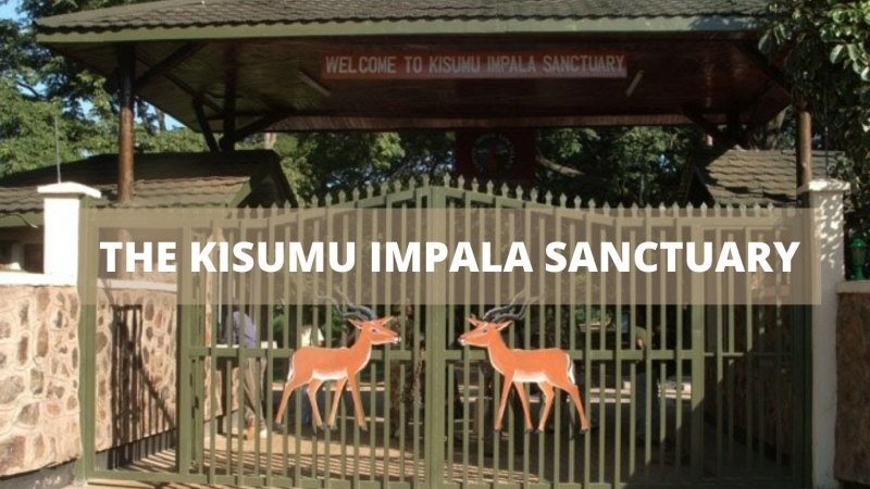 Impala Park Kisumu