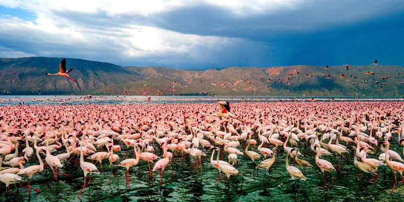 Lake Bogoria Entrance Fee