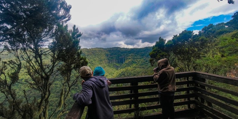 Aberdare National Park Entrance Fee