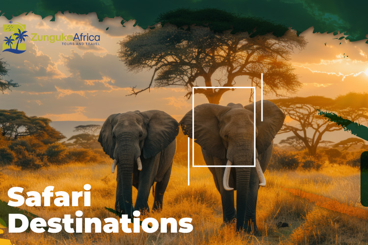 Zunguka Africa Safaris