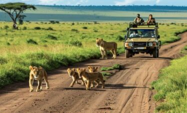 7 Days Safari Packages | Maasai Mara | Nanyuki | Samburu |