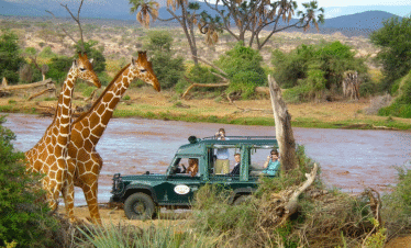 7 Days Safari Package | Nairobi | Maasai Mara | Nanyuki | Samburu