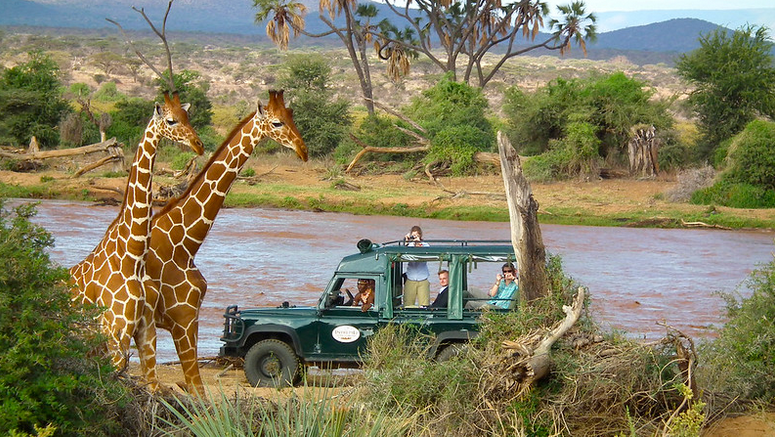7 Days Safari Package | Nairobi | Maasai Mara | Nanyuki | Samburu