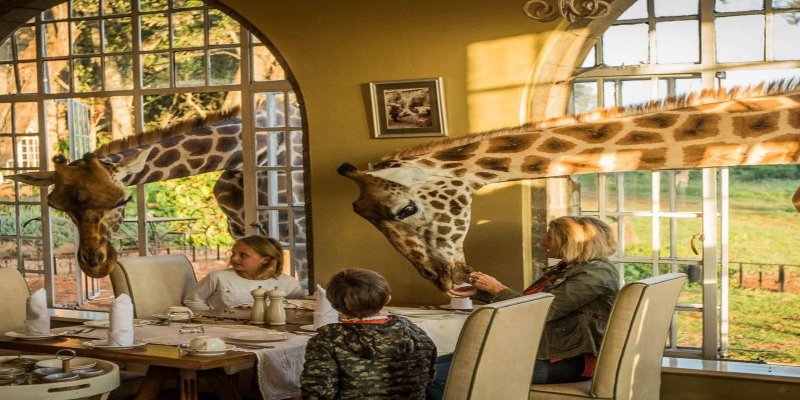 When is The Best Time to Visit Nairobi?