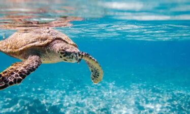 4 Days Story Seychelles Package