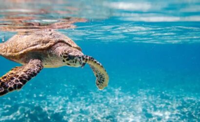 4 Days Story Seychelles Package