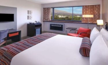 5 Days Southern Sun Newlands Prices