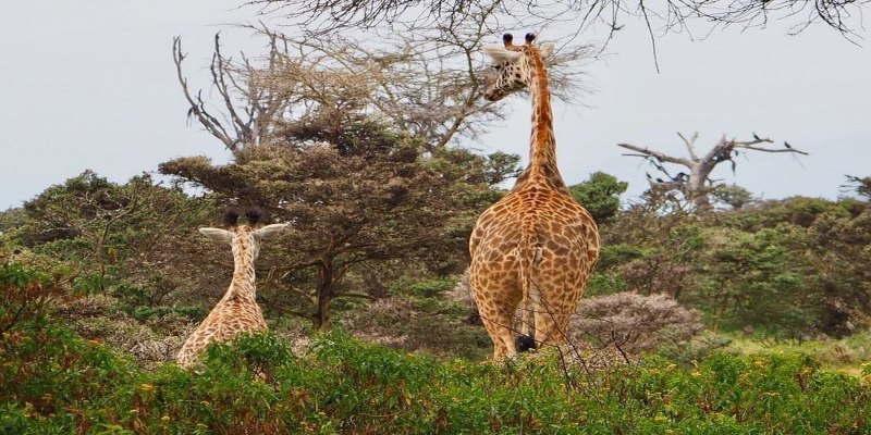 10 Beautiful Places to Visit in Naivasha on a Budget 2026