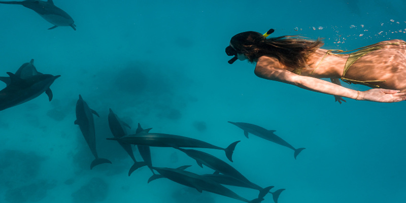 5 Days Sun Siyam Maldives Packages