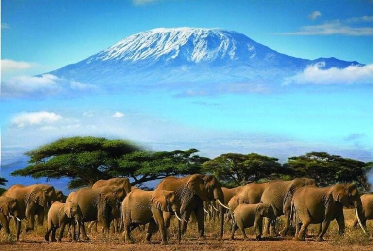 Amboseli Packages