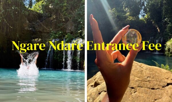 Ngare Ndare Entrance Fee, Activities and Charges 2026