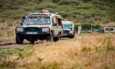Pay 3 Stay 4 Nights | Zebra Plains Mara Camp | 2026
