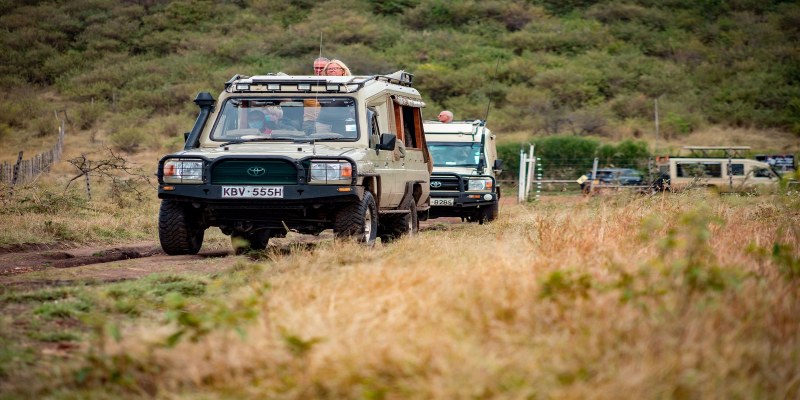 Pay 3 Stay 4 Nights | Zebra Plains Mara Camp | 2026