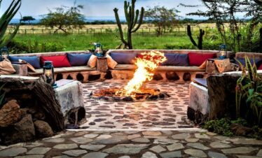 Pay 3 Stay 4 Nights | Zebra Plains Mara Camp | 2026