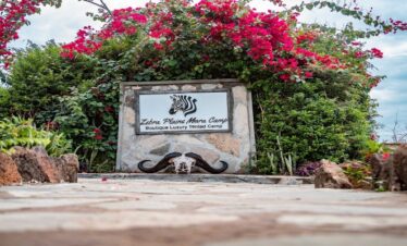 Pay 3 Stay 4 Nights | Zebra Plains Mara Camp | 2026