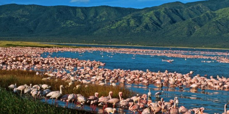 places to visit in naivasha