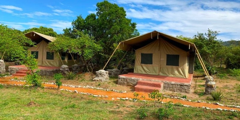 Cheap Masai Mara Safari Packages 2026