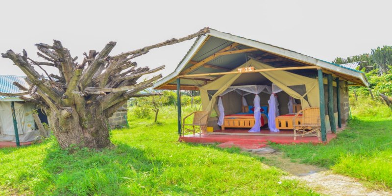 Cheap Masai Mara Safari Packages 