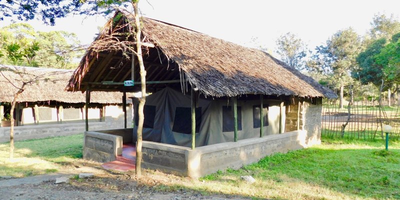 Cheap Masai Mara Safari Packages 