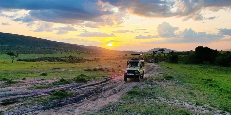 Evening game drive with lions in Masai Mara National Reserve
