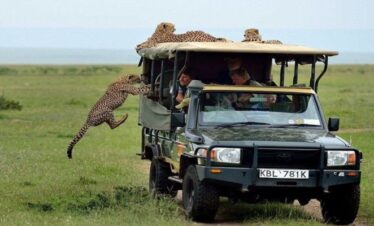 A 4x4 safari Land Cruiser with a pop-up roof on a 3-day Masai Mara group joining safari in 2026, spotting wildlife on the savannah