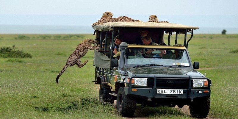 A 4x4 safari Land Cruiser with a pop-up roof on a 3-day Masai Mara group joining safari in 2026, spotting wildlife on the savannah