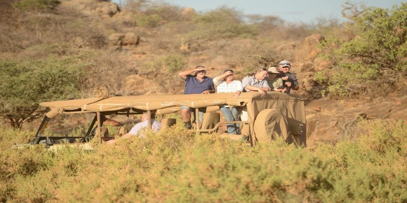 A family on a 4-day Samburu safari viewing a reticulated giraffe from a private 4x4 vehicle