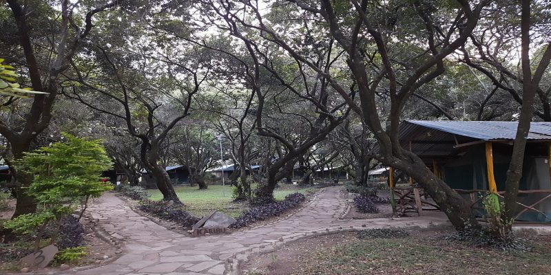 The glowing main lodge of a budget-friendly safari camp at night, showing the dining area and thatched roof under a twilight sky during a 2026 group joining safari.