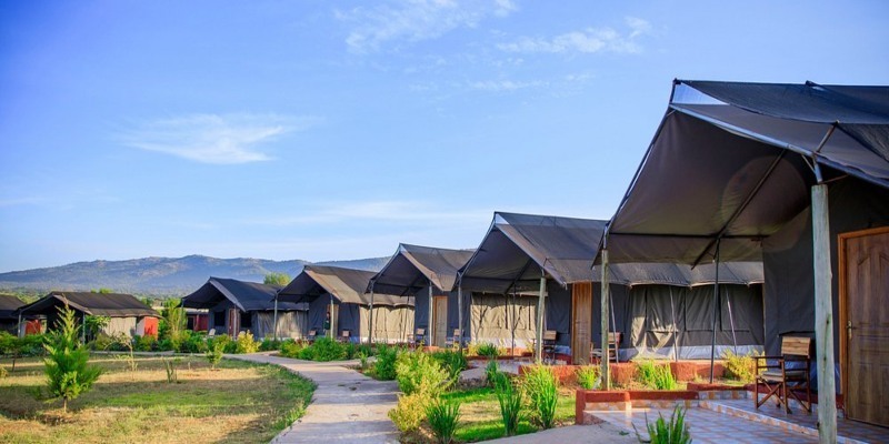 A row of budget safari tents with black canvas roofs and private wooden porches, connected by a winding stone path under a clear blue sky with hills in the background.