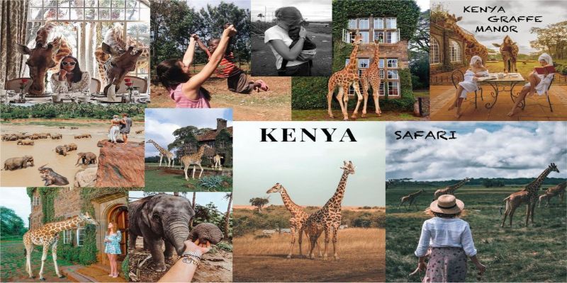 A vibrant travel collage showcasing a Kenya safari vacation, including guests dining with giraffes at Giraffe Manor, close-up encounters with elephants, and tourists in sun hats overlooking the savanna landscape